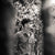 User avatar 4